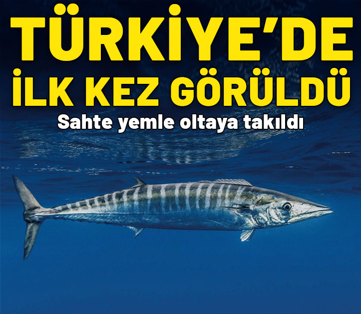 Türkiye'de ilk kez görüldü: Sahte yemle oltaya takıldı