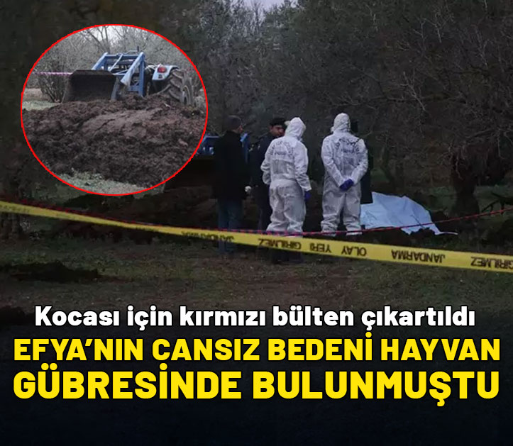 Efya'nın cansız bedeni hayvan gübresinde bulunmuştu: Kocası için kırmızı bülten çıkartıldı