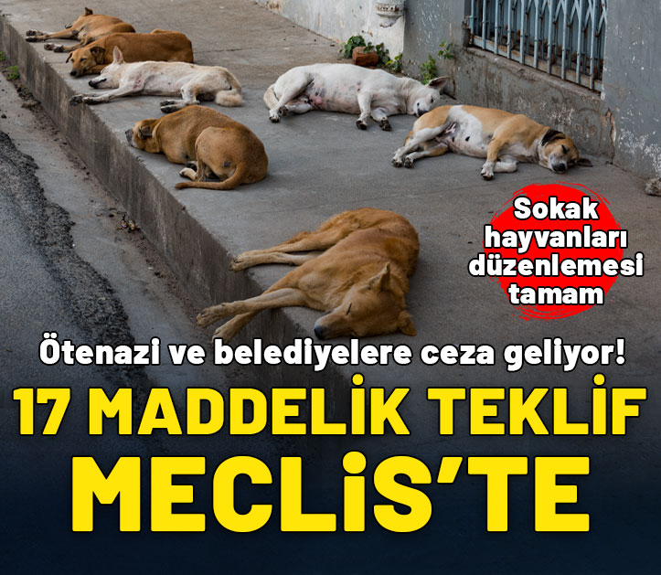 Sokak hayvanları için 17 maddelik kanun teklifi TBMM'de! Detayları AK Partili Güler anlattı