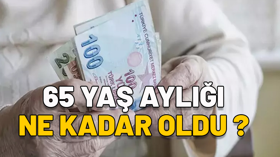 65 yaş aylığı ne kadar oldu 2024? Temmuz zammıyla yaşlılık aylığı kaç TL?