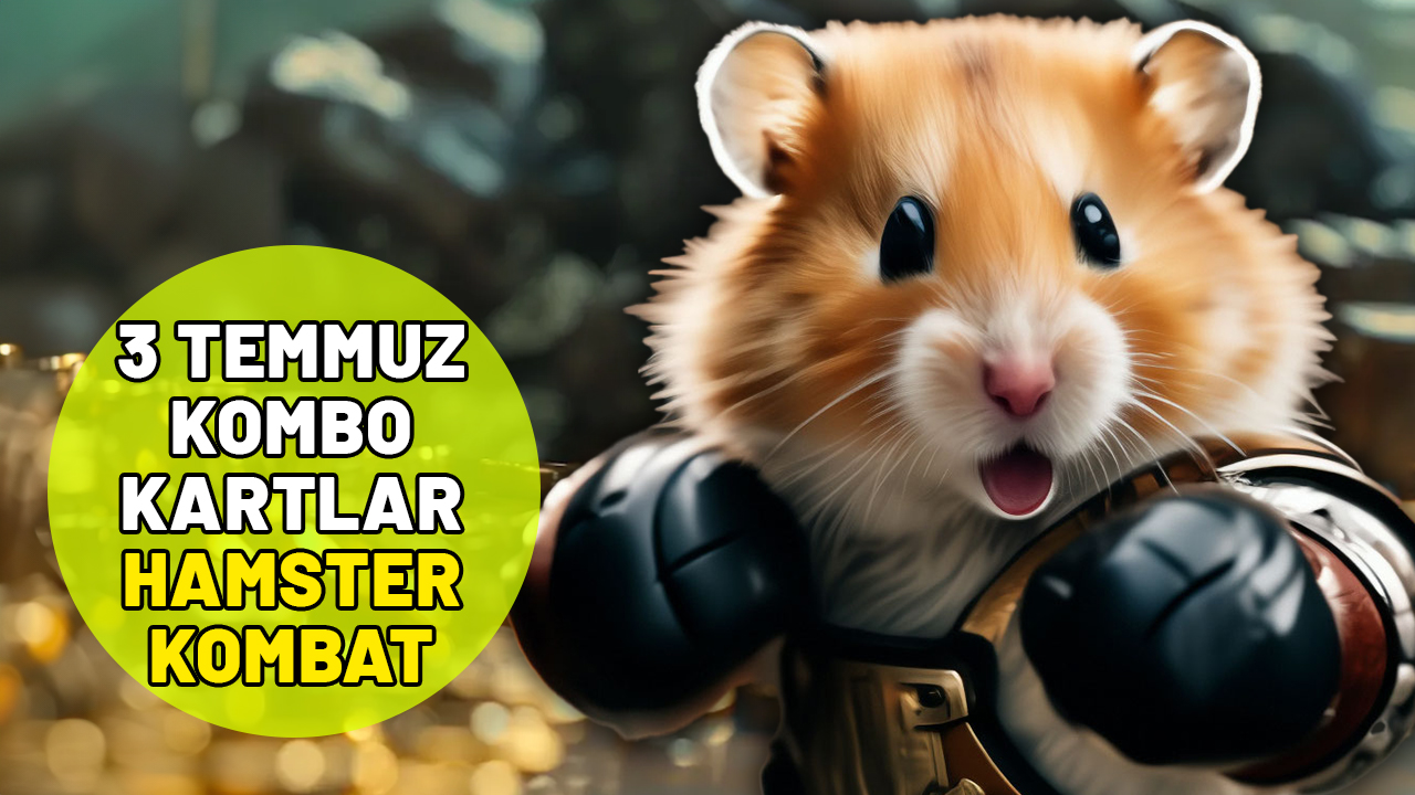 3 TEMMUZ HAMSTER KOMBAT KOMBO KARTLAR: Hamster bugünkü kartlar neler?