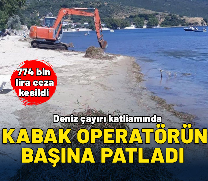 Deniz çayırı katliamında kabak operatörün başına patladı