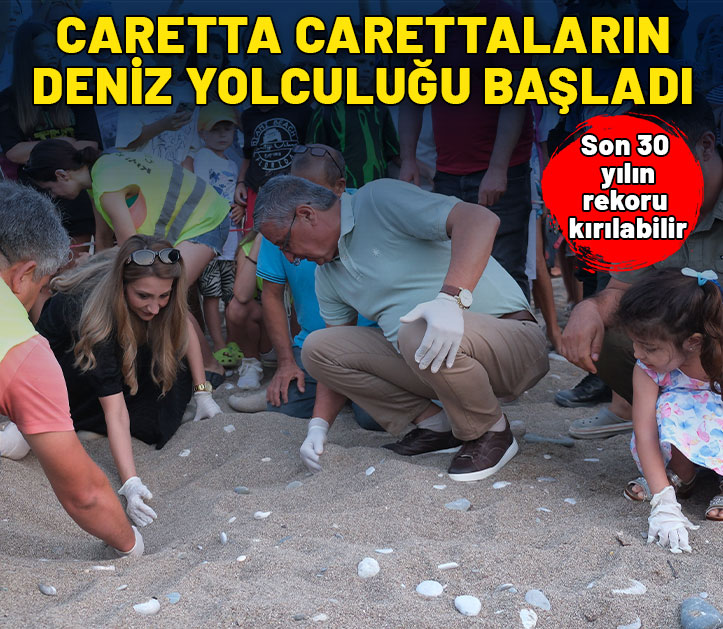 Caretta carettaların  denize yolcuğu başladı