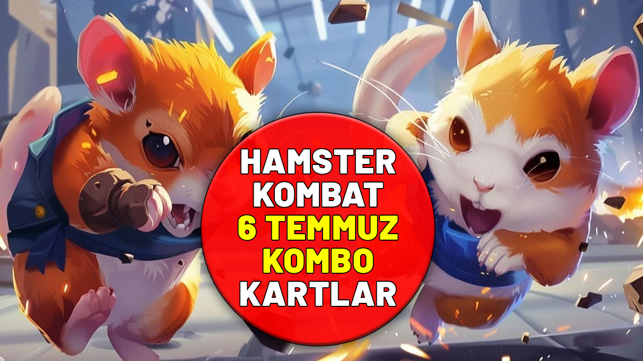 HAMSTER KOMBAT 6 TEMMUZ 2024 KOMBO KARTLAR: Hamster Kombat bugünkü (Cumartesi) kartlar neler?