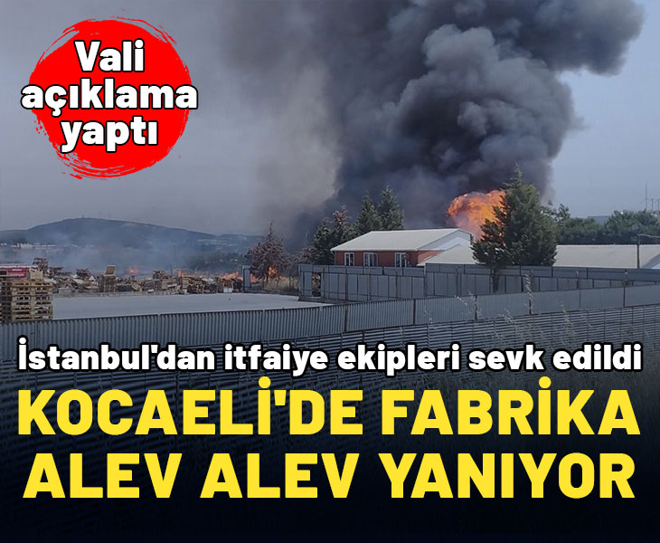 Kocaeli'de palet fabrikasındaki yangın kontrol altına alındı