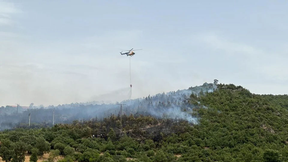 4 bölgede orman yangını! Havadan ve karadan müdahale ediliyor