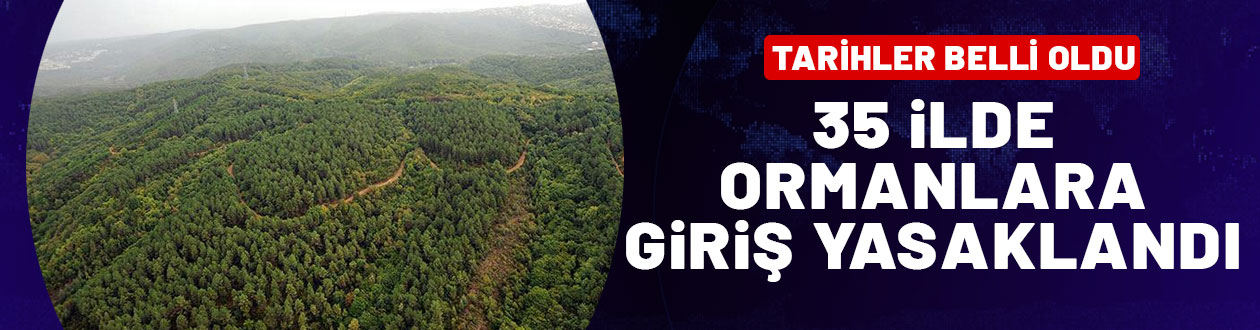 Türkiye genelinde 35 ilde ormanlara giriş yasaklandı