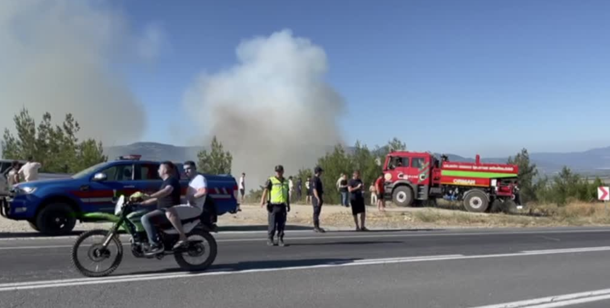 Sakarya’da ormanlık alanda yangın çıktı! Müdahaleler sürüyor