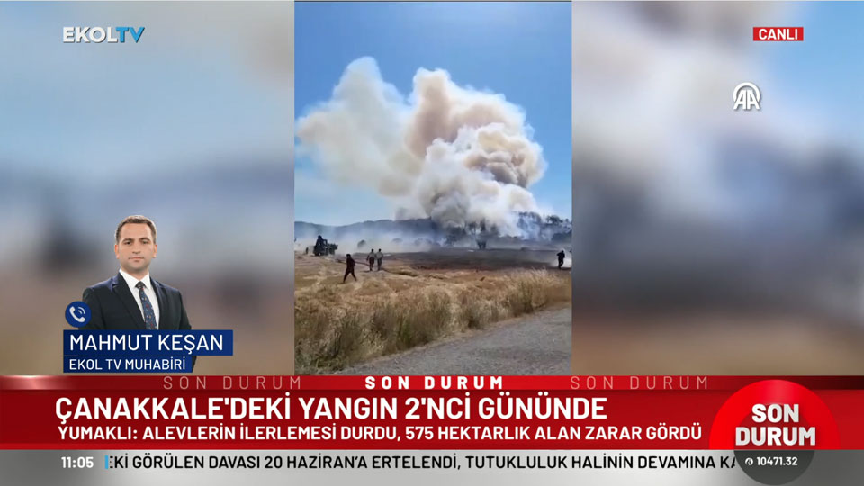 Çanakkale'de orman yangını neden çıktı? Ekol TV muhabiri son durumu aktardı