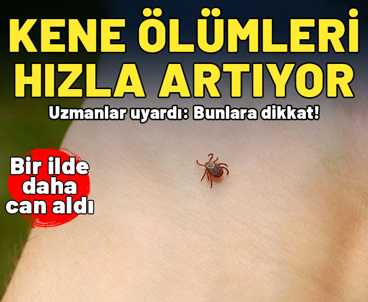 Kene ölümleri hızla artıyor: Bir ilde daha can aldı!