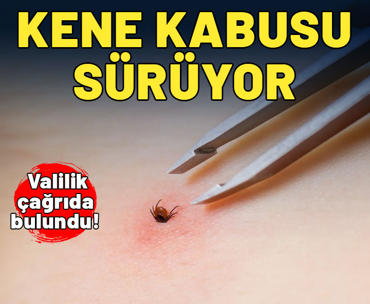 Kene kabusu sürüyor! Valilik çağrıda bulundu!