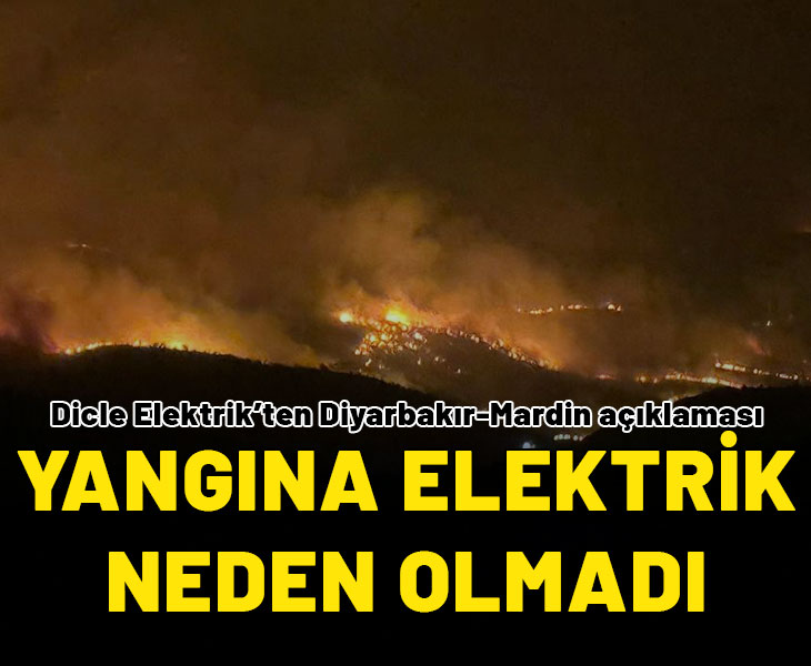 Dicle Elektrik'ten Diyarbakır-Mardin yangını açıklaması: Yangına elektrik neden olmadı