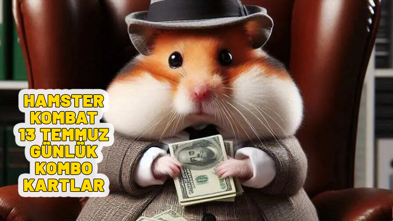 HAMSTER KOMBAT 13 TEMMUZ KOMBO KARTLAR: Hamster Kombat yeni kombo kartlar neler?