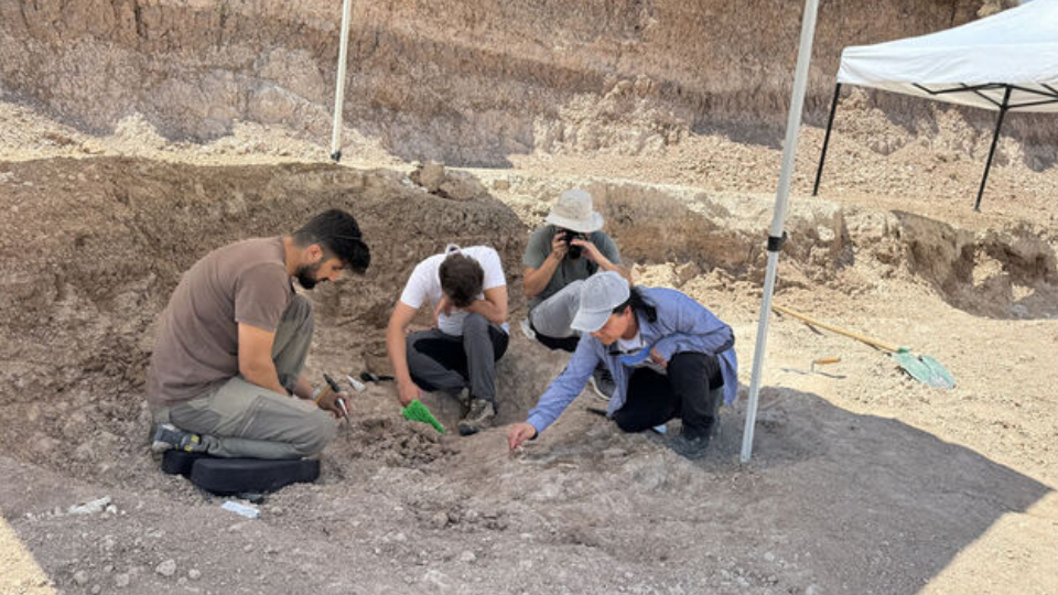 Kayseri Yamula Barajı çevresindeki fosil zenginliği büyük ilgi uyandırıyor