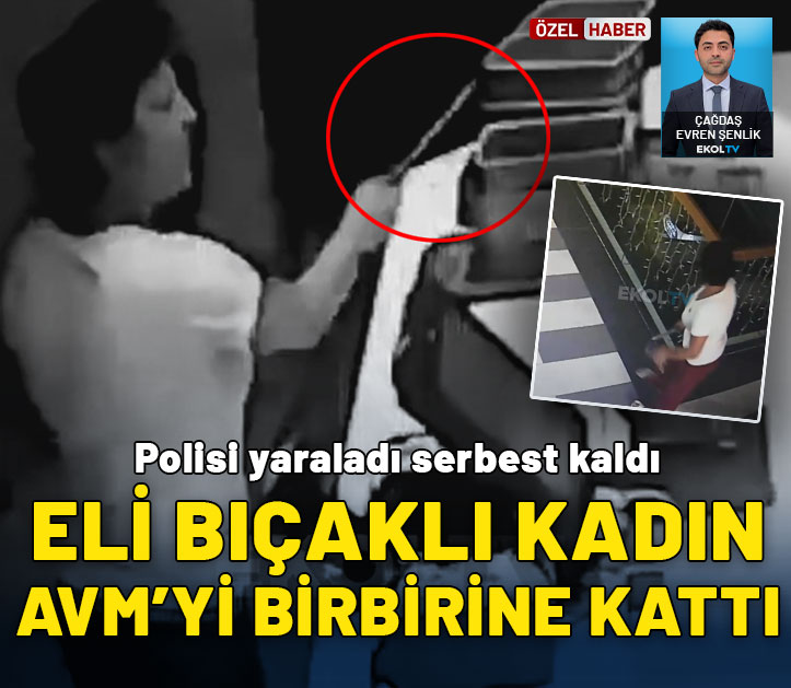 Polisi yaraladı, adli kontrolle serbest kaldı: Eli bıçaklı kadın AVM'yi birbirine kattı