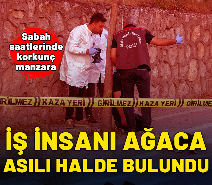 Sabah saatlerinde korkunç manzara! İş insanı ağaca asılı halde bulundu