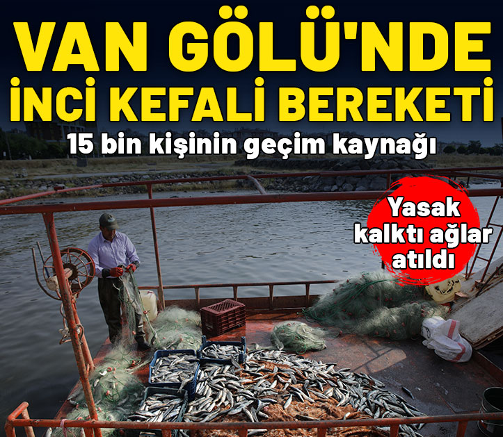 İnci kefali avına başladı! 15 bin kişinin geçim kaynağı