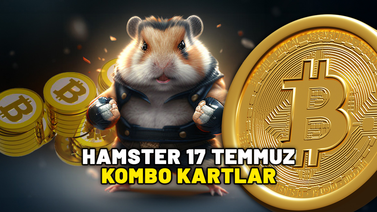 17 TEMMUZ HAMSTER KOMBAT KOMBO KARTLAR! 17 Temmuz Çarşamba Hamster günlük kartlar neler?