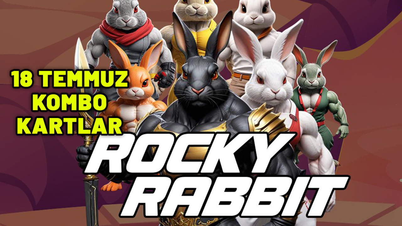 ROCKY RABBİT GÜNLÜK KOMBO (18 TEMMUZ) KARTLAR | Rocky Rabbit 2 milyon ödüllü kartlar neler?