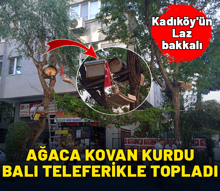 Kadıköy'ün Laz bakkalı: Ağaca kovan kurup balları teleferikle topluyor