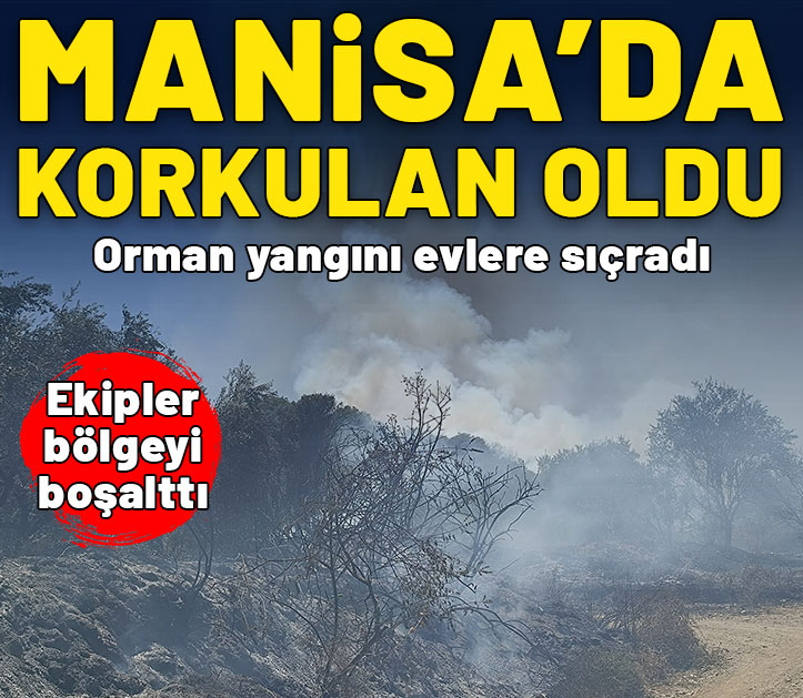 Manisa'da korkulan oldu: Orman yangını evlere sıçradı