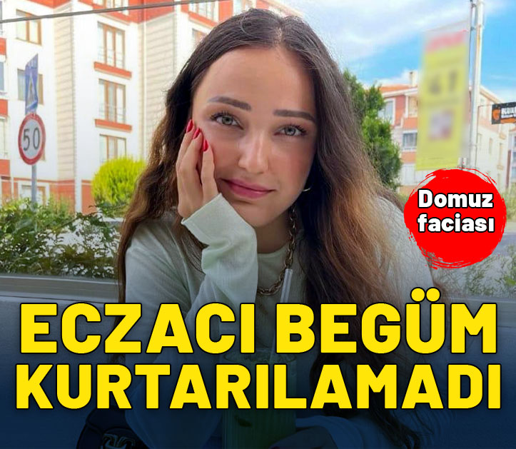 Domuz faciası: Eczacı Begüm kurtarılamadı