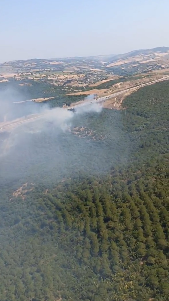 Balıkesir'de araçta çıkan yangın ormana sıçradı