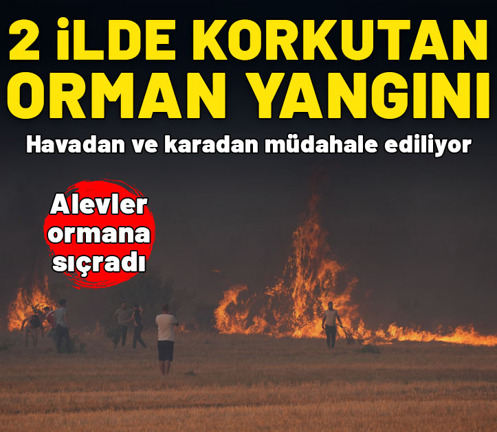 Türkiye'nin ciğerleri alev alev yanıyor! 2 ilde orman yangını