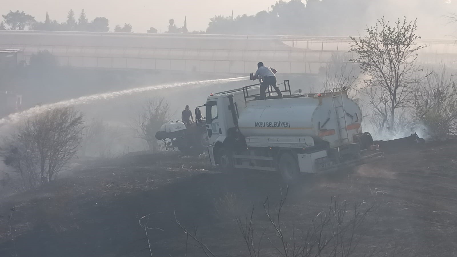 Ormanlık alanda çıkan yangın seralara sıçradı