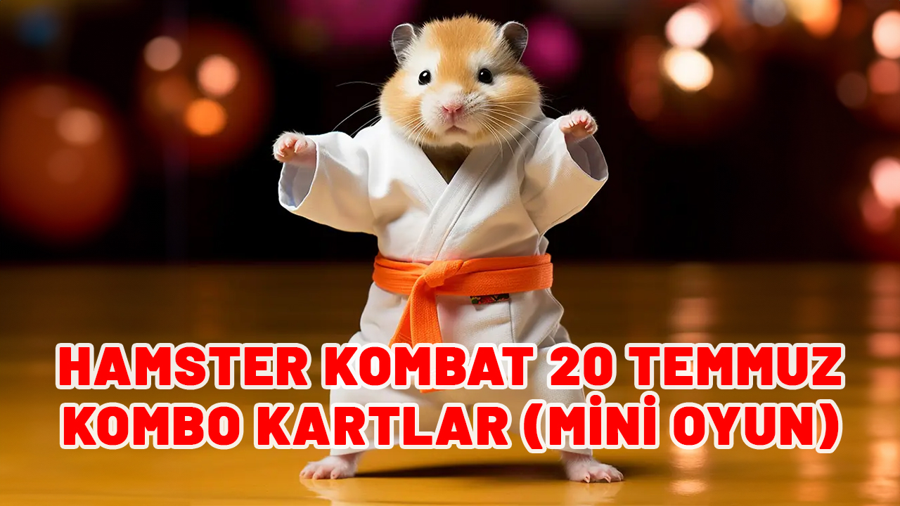 HAMSTER KOMBAT 20 TEMMUZ KOMBO KARTLAR: Hamster Kombat bugünün kombo kartları neler?