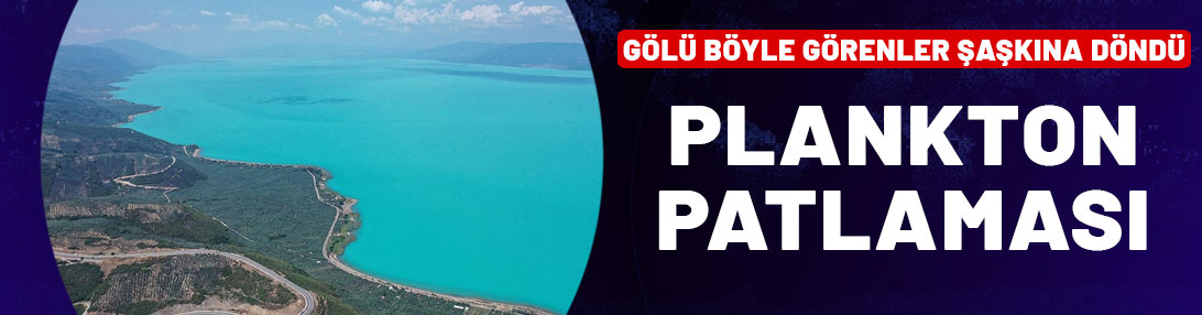 İznik Gölü plankton patlamasıyla turkuaz görünüme kavuştu