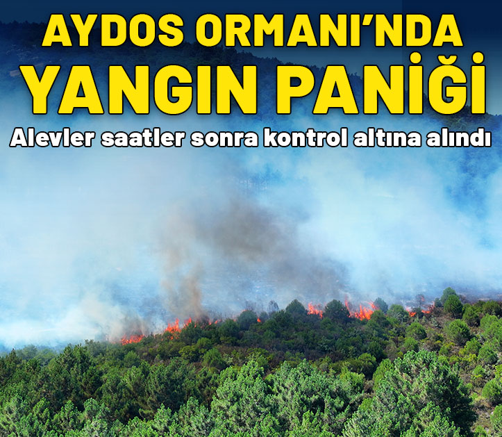 Pendik Aydos Ormanı'nda yangın: Alevler kontrol altına alındı