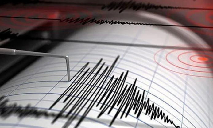 Komşuda korkutan deprem! Gürcistan'da 4.7 ile sallandı