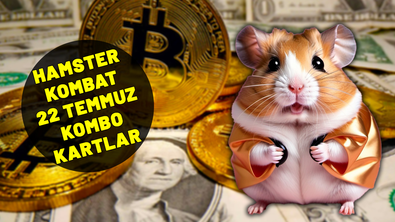 HAMSTER KOMBAT 22 TEMMUZ KOMBO KARTLAR! Hamster Kombat bugünün kartları ne?