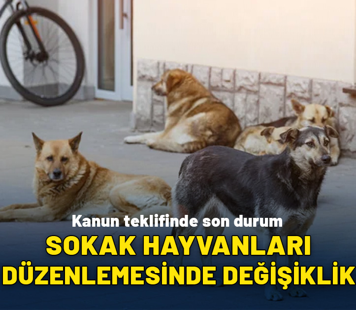 Sokak hayvanları düzenlemesinde değişiklik: Ötenazi kelimesi yasadan çıkarılıyor