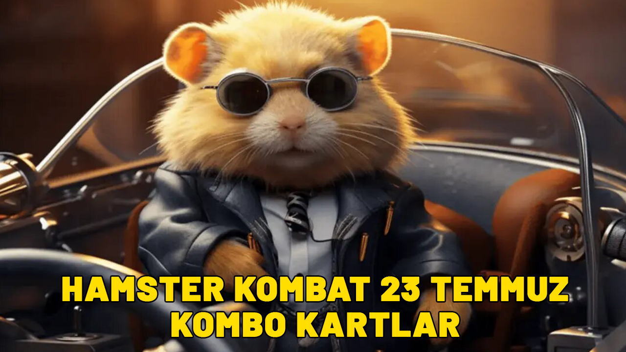 HAMSTER KOMBAT 23 TEMMUZ SALI KOMBO KARTLAR- Hamster Kombat bugünkü kombo kartlar neler?