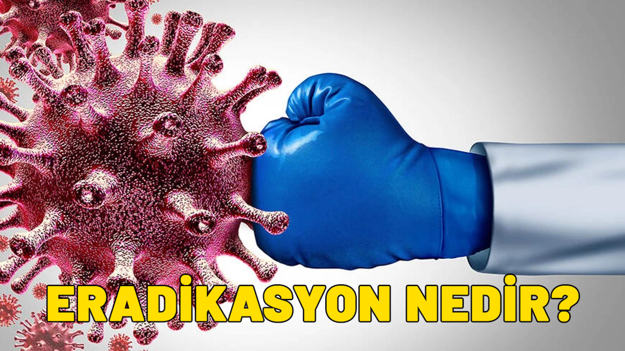 Eradikasyon nedir? Viral eradikasyon nedir?