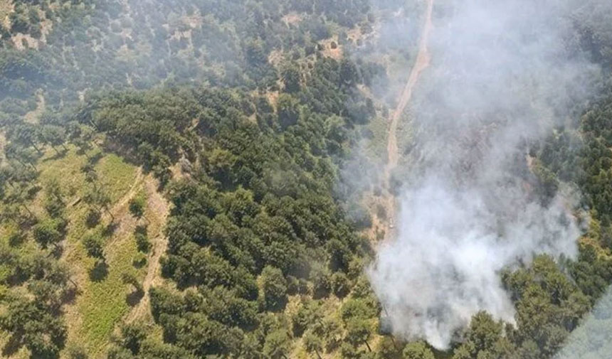 Adana ve Balıkesir'de orman yangını