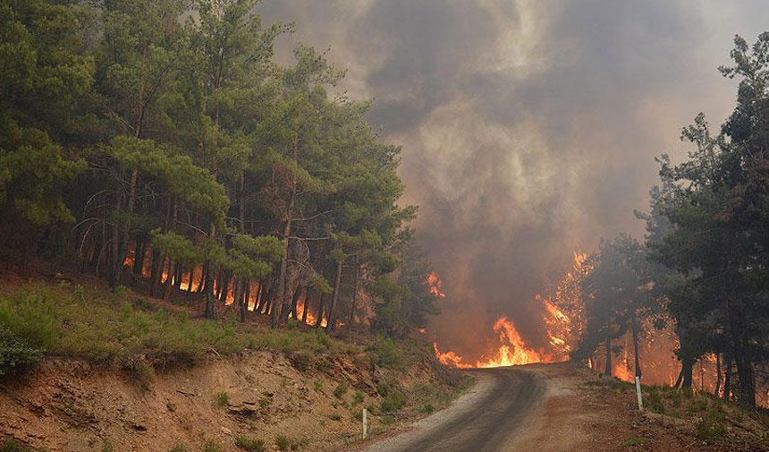 İzmir'de korkutan yangın: Bir site tahliye edildi