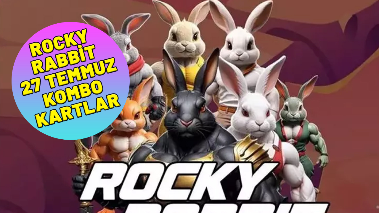 ROCKY RABBİT 27 TEMMUZ KOMBO KARTLAR: Rocky Rabbit 27 Temmuz enigma çözümü