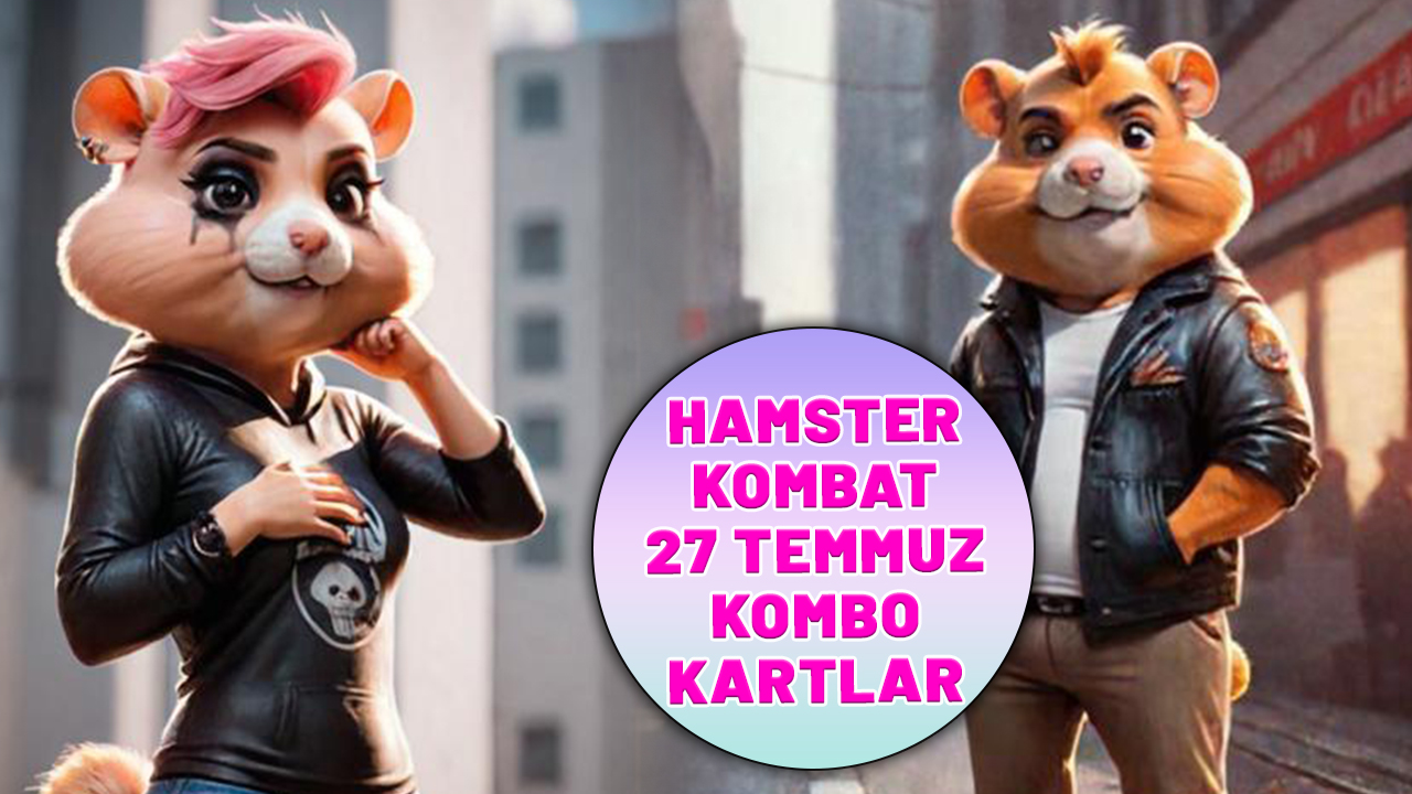 Hamster Kombat 27 Temmuz kombo kartlar! Hamster Kombat bugünün kartları neler?