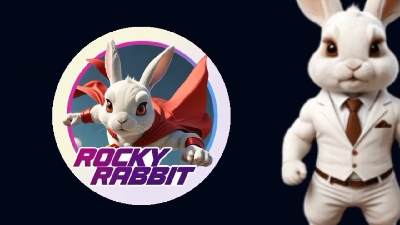 30 TEMMUZ ROCKY RABBİT KOMBO KARTLAR: Rocky Rabbit kombo kartlar belli oldu mu?