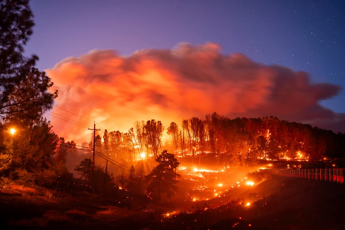 ABD cayır cayır yanıyor: California'da 373 bin dönüm küle döndü