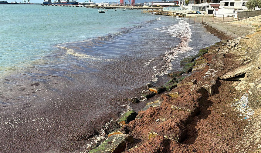 Marmara'da kırmızı alarm! Tüm bölgeyi sardı