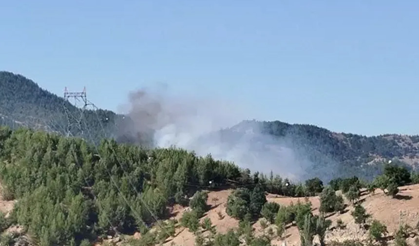 Adana'da orman yangınına müdahale eden helikopter düştü