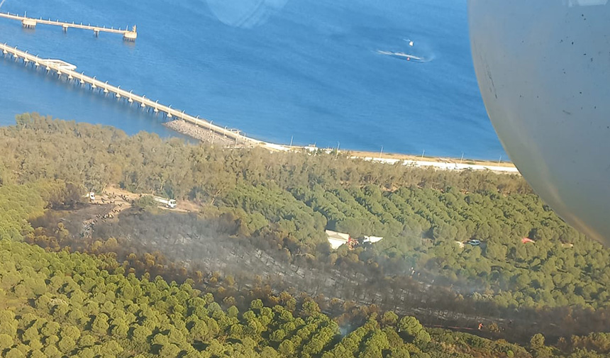 İzmir Aliağa'daki yangın kontrol altında