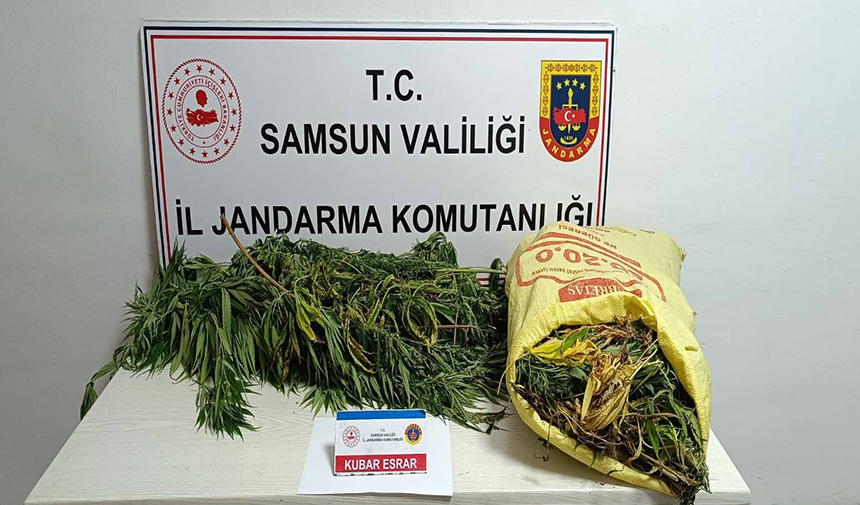 Jandarmaya 12 kilo esrarla yakalanan kadın tutuklandı