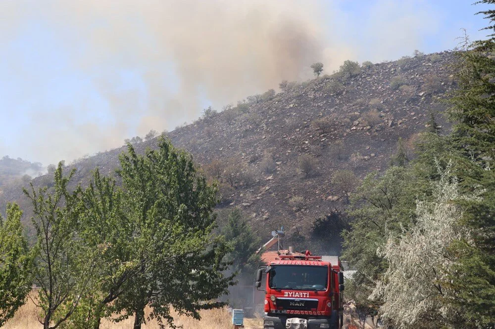 Diyarbakır’da ormanda yangın: Rüzgarın etkisiyle alevler büyüyor