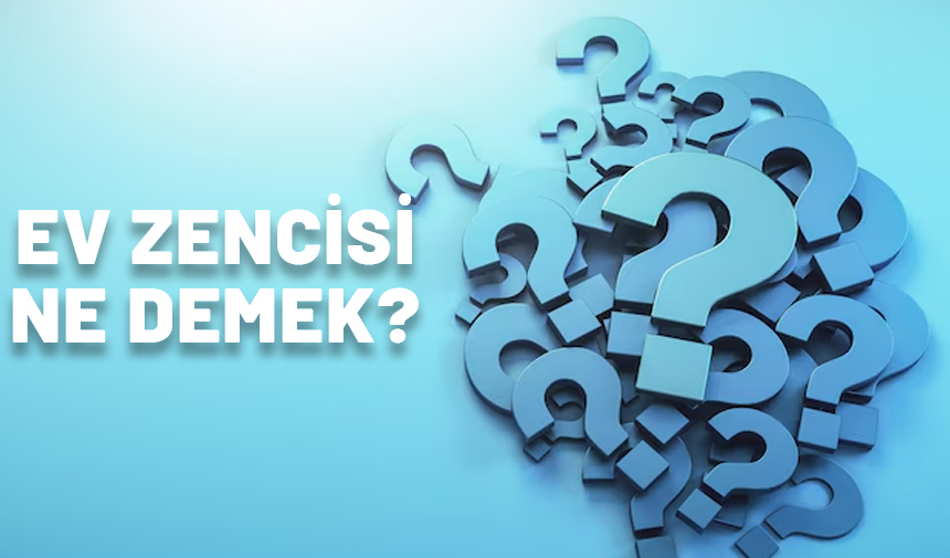 Ev zencisi ne demek? Cumhurbaşkanı Erdoğan'ın söylediği ev zencisi ne anlama geliyor?