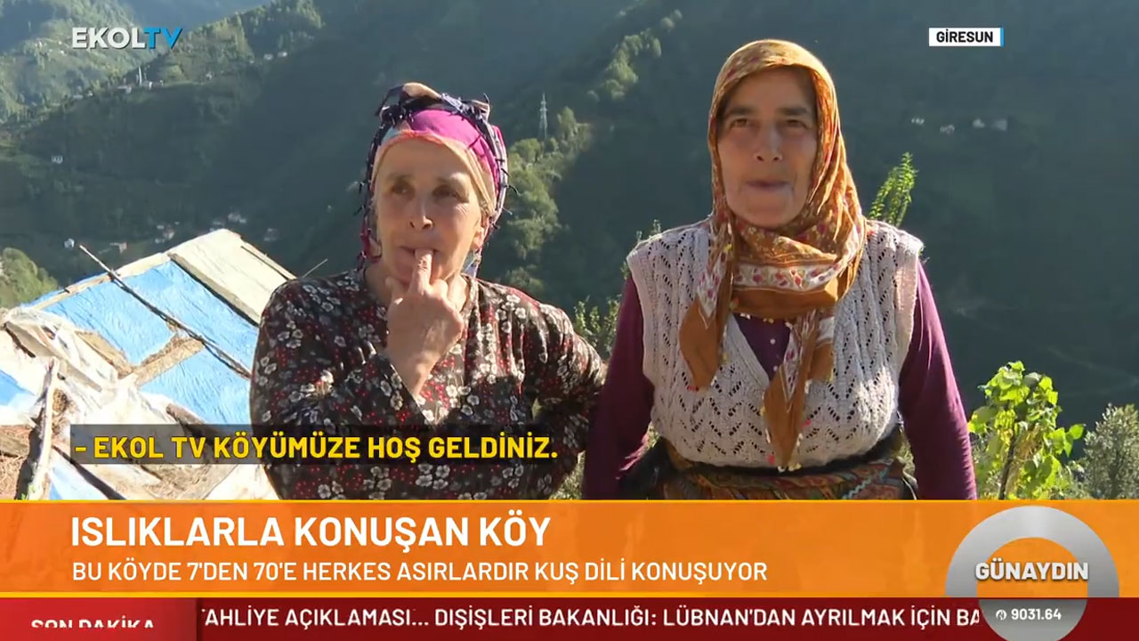 Alfabesi yok, konuşmak da yetenek işi! Bu köyde herkes kuş diliyle konuşuyor